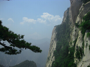 崖壁青松山岳风光