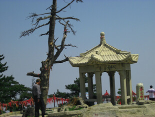 山顶石亭古松风光