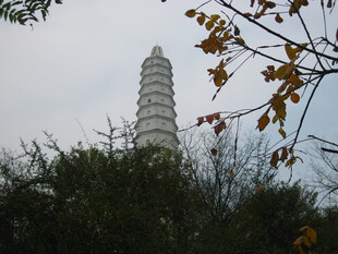 秋日古塔风光