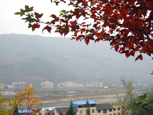 秋日红叶远眺山乡