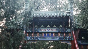 林间掩映中式古建