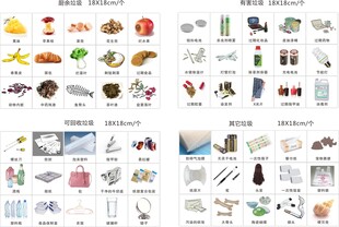 垃圾分类卡片