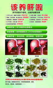 养肝科普宣传海报