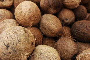椰子壳