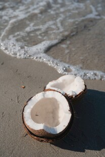 沙滩上的两半椰子