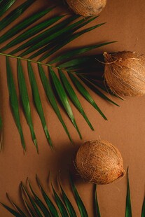 暖调绿植坚果静物摆拍