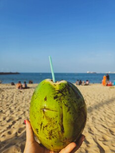 海滩手持青椰