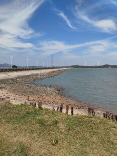 郊野湖岸晴日风光 红海湾
