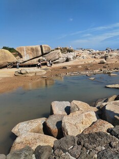 晴日海岸滩涂风光 红海湾