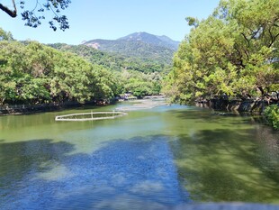 郊野河畔自然风光 罗浮山