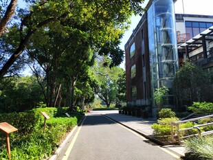 园区林荫步道风光 罗浮山