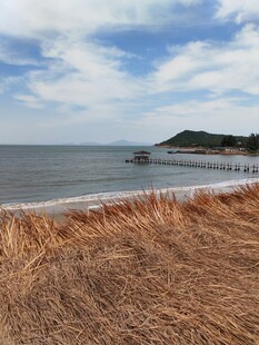 秋日海岸风光 红海湾