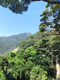 晴日山林翠色风光 罗浮山