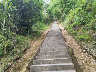 林间登山石阶步道