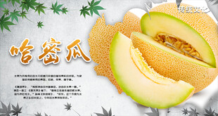 哈密瓜主题宣传海报