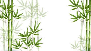 竹树背景图