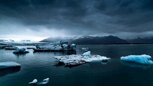 冰湖浮冰景观