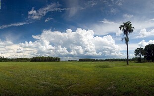 原野晴空自然美景