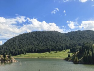 新疆旅游