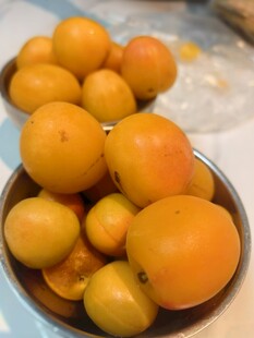 黄杏