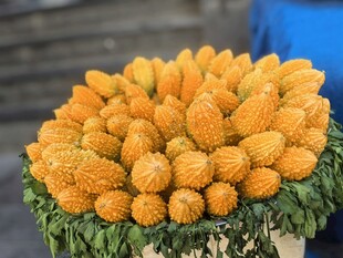 苦瓜