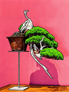 盆景插画