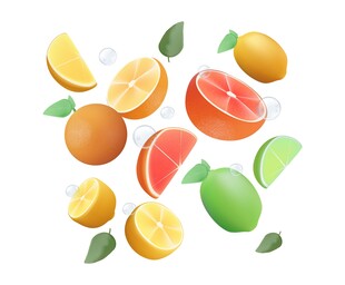 柑橘水果素材
