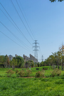 公园绿地输电塔远景