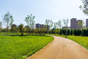 城市公园步道风景