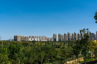 晴空下的城市远景
