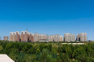 晴空下的城市建筑群