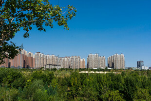 郊野远眺城市建筑群