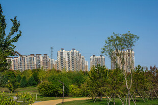 公园远眺城市住宅