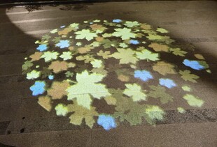 街道地面彩色枫叶投影夜景人文景