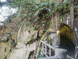 山石