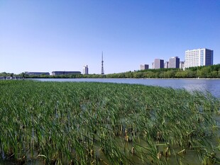 大庆时代广场河畔城市晴日风光