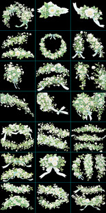 白色小花