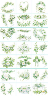 白色小花