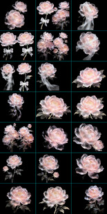 粉色牡丹花