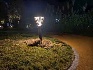夜晚公园草坪灯