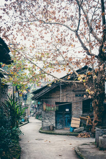 樱花树下的乡村小屋
