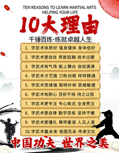 习武十大理由宣传海报