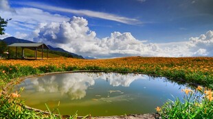 郊野湖畔自然风光