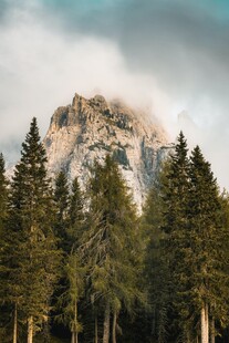 云绕山巅松林风光