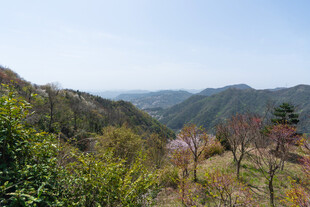 春日山野自然风光