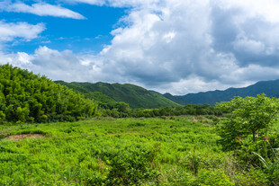 郊野青山自然风光