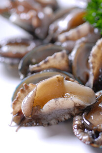 新鲜鲍鱼食材特写