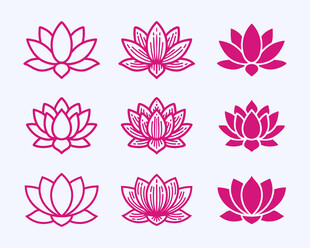 荷花图案