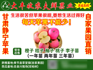 静宁苹果直销宣传海报