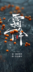 霜降节气国风创意海报